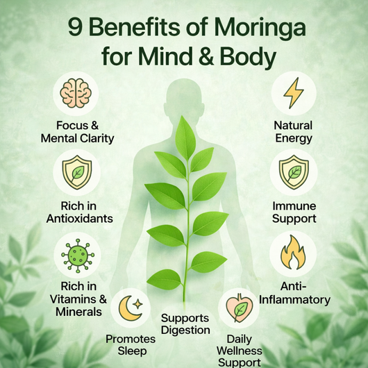 Premium Moringa kapslar